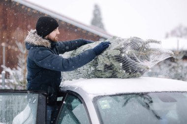 Eve getirmek için arabanın çatısına Noel ağacı koymaya çalışan yakışıklı bir adam. Yaşasın köknar ağacı..