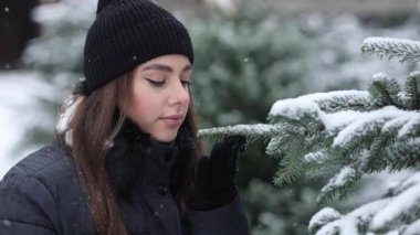 Çekici genç bir kadın Noel ağacını ağaç çiftliğinden seçiyor. Kadın köknar ağacı kokuyor..
