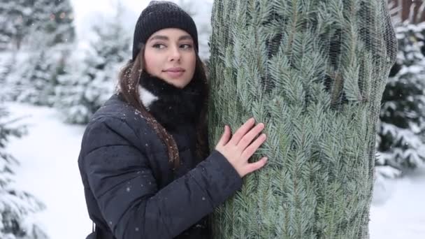 美しい若い女性は彼女のクリスマスツリーを抱擁する 休日を見越して幸せな女性 — ストック動画