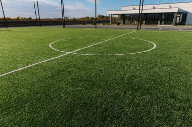 Detailed green soccer field grass lawn texture. White line in centre. Design stadium grass football. lineartificial surface.