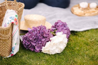Close-up of hydrangea on grass. Element of decor. Straw bag on gray plaid.