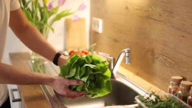 Mutfakta organik yeşil salata yıkayan adam. Adam salatanın üzerindeki su damlalarını silkeliyor. Yüksek kalite 4k görüntü