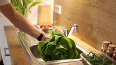 Mutfakta organik yeşil salata yıkayan adam. Marul yaprakları ve su damlaları. Yüksek kalite 4k görüntü