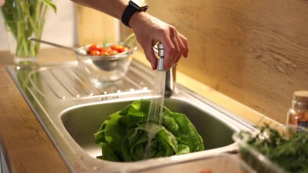 Omul Spală Salata Verde Organică Romano Bucătărie Frunzele Salată Picături — Videoclip de stoc
