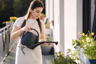 Çiçekleri sulama kutusundan sulayan bir kadın. Balkonda genç kadın su yeşillikleri. Yüksek kalite fotoğraf