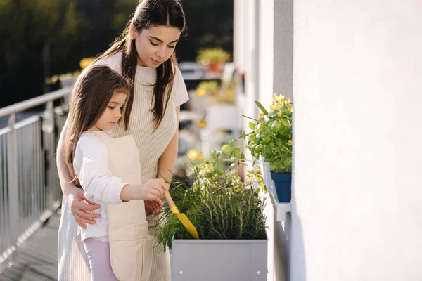 Fiatal Anya Segít Kislányának Kertészkedni Erkélyen Imádnivaló Lány Aki Anyával — Stock Fotó