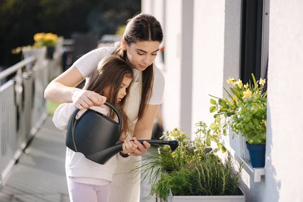 Mãe Planta Molhando Com Sua Adorável Filhinha Jardinagem Familiar Feliz — Fotografia de Stock