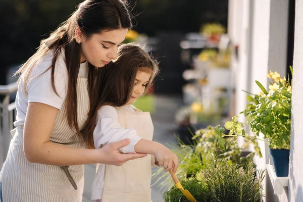 Fiatal Anya Segít Kislányának Kertészkedni Erkélyen Imádnivaló Lány Aki Anyával — Stock Fotó