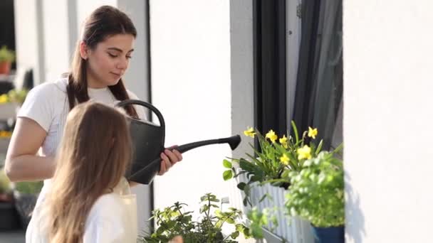 Mamá Regando Planta Con Adorable Hijita Feliz Jardinería Familiar Balcón — Vídeo de stock