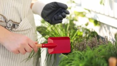 Kırmızı küreği tutan insanın yan görüntüsü. İniş için bahçe aletleri kullanıyorlar. Yüksek kalite 4k görüntü