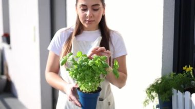 Açık çizgili tulumlu güzel bir kadın terasta fesleğen dikiyor. Genç bayan iş gününden sonra dinleniyor. Yüksek kalite 4k görüntü