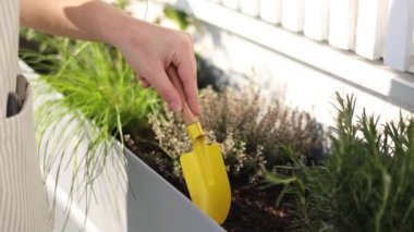 Teras saksısını kazmak için küçük sarı bir kürek kullanan bir kadın. Makro. Yüksek kalite 4k görüntü