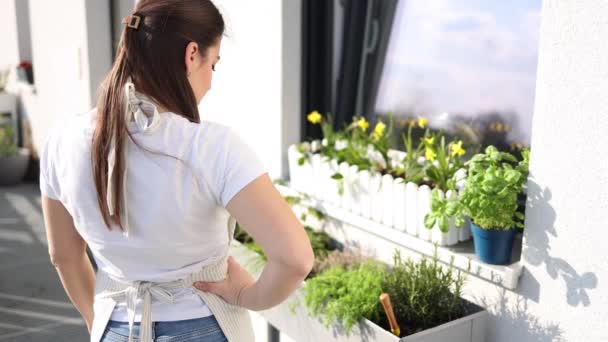 Vista Posterior Creación Jardín Femenino Balcón Mujer Usando Una Pala — Vídeos de Stock