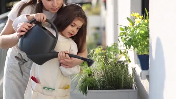 Mama Podlewa Roślinę Swoją Uroczą Córeczką Szczęśliwej Rodzinnej Ogrodnictwa Balkonie — Wideo stockowe