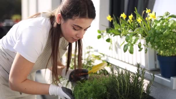 Schöne Weibliche Gartenarbeit Auf Dem Balkon Frau Checkt Pflanze Blumentopf — Stockvideo
