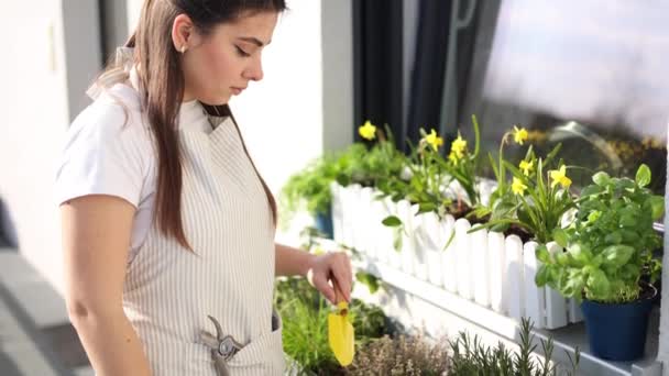 Χαμογελαστή Νεαρή Γυναίκα Δημιουργώντας Κήπο Στο Μπαλκόνι Γυναίκα Που Χρησιμοποιεί — Αρχείο Βίντεο