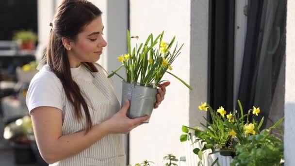 Las Jóvenes Agricultoras Sostienen Cubo Con Narcisos Plantados Jardinería Balcón — Vídeos de Stock