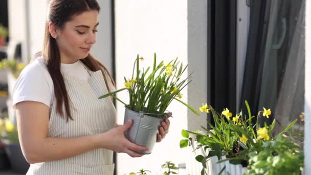 Молода Жінка Фермерка Тримає Відро Посадженими Нарцисами Садівництво Балконі Високоякісні — стокове відео