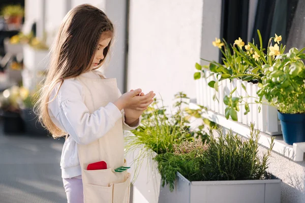 Lány Segít Kertészkedésben Nyáron Aranyos Kisgyerek Virágágyás Mellett Kiváló Minőségű — Stock Fotó