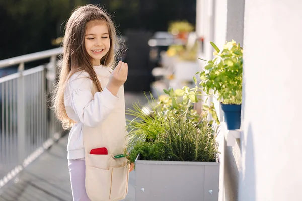 美丽的女孩在阳台上自己的花坛上品尝新鲜成熟的蔬菜 笑笑的小女孩 高质量的照片 — 图库照片