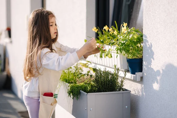 Dívka Pomáhá Zahradničení Létě Roztomilé Malé Dítě Celkovém Stojí Záhonu — Stock fotografie