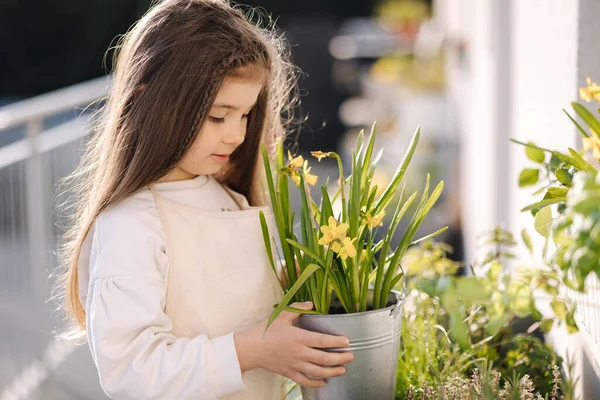 stock image Portrait of adorable little girl hold daffodils in a metal bucket near flowerbed. High quality photo