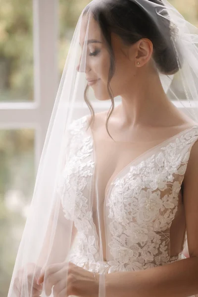 顔の上にベールを持つ豪華な花嫁の肖像画 結婚式の日 女は窓の前に立つ そうだ 高品質の写真 — ストック写真
