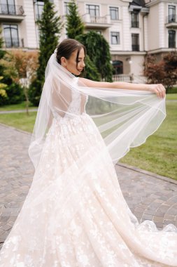 Gelin duvağı tut ve al. Muhteşem bir gelinlik. Yüksek kalite fotoğraf