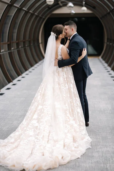 新郎和新娘带着窗户在大厅里散步的背景 优雅的房间亲吻新娘 高质量的照片 — 图库照片