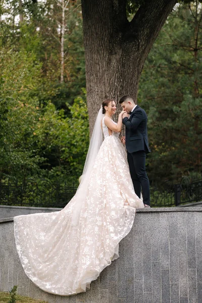 Gyönyörű Házaspár Áll Nagy Mellett Gyönyörű Menyasszonyi Ruha Kiváló Minőségű — Stock Fotó