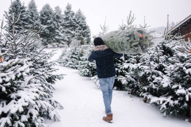 İnsanın arkası Noel ağacını evine taşır. Adam köknar ağacı alır ve arabaya götürür. Kış havası.