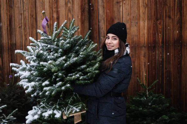 Güzel kadın küçük karlı Noel ağacını tutuyor. Kadınlar bayram için köknar ağacı seçerler. Noel havası.