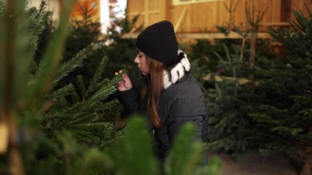 女人用木制的尺寸来选择最适合自己家的圣诞树 — 图库视频影像