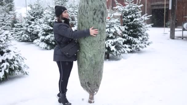 魅力的な若い女性がクリスマスツリーを詰め込んで立っている 休日を見越して幸せな女性 — ストック動画