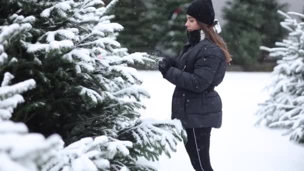 Una Mujer Elegante Compra Árbol Navidad Mujer Suéter Punto Negro — Vídeos de Stock
