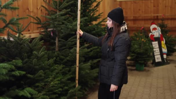 Ελκυστική Νεαρή Γυναίκα Επιλέγουν Έλατο Στην Αγορά Χριστουγεννιάτικο Δέντρο Χειμερινή — Αρχείο Βίντεο