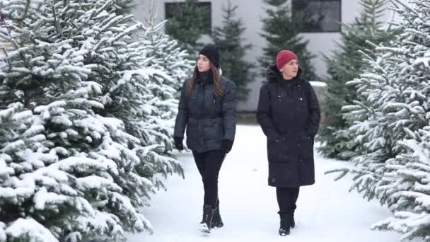 Ώριμη Γυναίκα Την Κόρη Της Επιλέγουν Χριστουγεννιάτικο Δέντρο Στην Υπαίθρια — Αρχείο Βίντεο