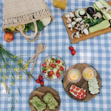 Piknik sepetinin üstünde sağlıklı vejetaryen sandviçler ve parkta mavi kareli battaniye. Taze meyve, sebze ve portakal suyu. Vejetaryen pikniği. Yüksek kalite fotoğraf