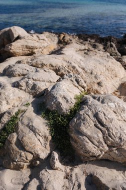 Kaya, Kaya Sahnesi doğada deniz kıyısı manzarası ve mavi gökyüzü arka planıyla. Yüksek kalite fotoğraf