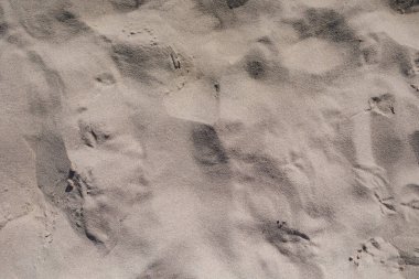 Metin kum arkaplanı. Arka plan olarak kumlu sahilin dokusu, üst manzara. Yüksek kalite fotoğraf