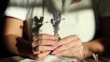 Elinde lavanta filizi sallayan bir kadının ön görüntüsü. Taze bitkilere yakın çekim. Önlük takan bir kadın. Yüksek kalite 4k görüntü