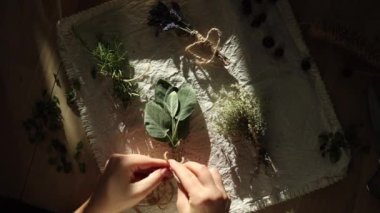 Sage Sprigs 'in etrafına ip bağlayan insan ellerinin üst görüntüsü. Ahşap bir masanın üzerinde çeşitli otlarla bezenmiş keten masa örtüsü. Sonbahar atmosferi. Yüksek kalite 4k görüntü