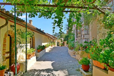 Yunanistan 'ın antik Mystras kentindeki Pantanassa Manastırı' nın güneşli manzaralı avlusunda. Bizantine döneminin terk edilmiş ortaçağ hayalet kasabası Mystras.