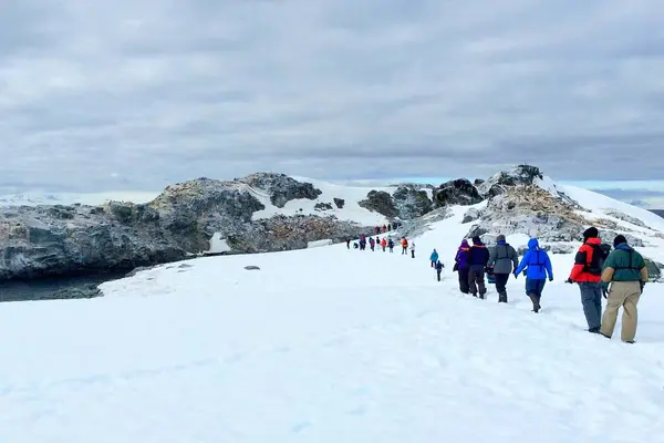 Antarktika - 21 Aralık 2014: Bilinmeyen bir grup turist, gezegenimizin en keşfedilmemiş ve gizemli köşesi olan Antarktika 'nın hayvan dünyasını keşfetmek için derin karda yürüyüş yapıyor.