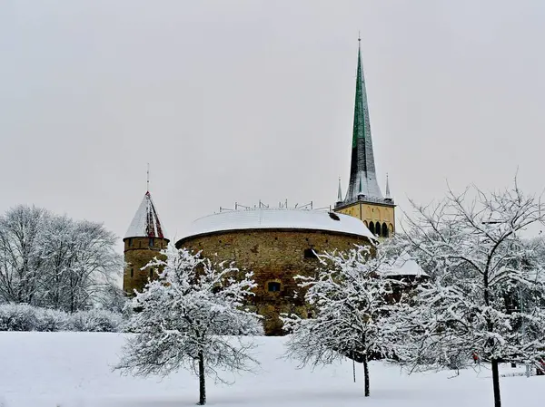 Karla kaplı ağaçların manzarası ünlü Şişko Margaret kulesinin arka planına ve soğuk bir Noel arifesinde Estonya 'nın başkentinde Aziz Olaf Kilisesi' nin kulesine bakıyor.