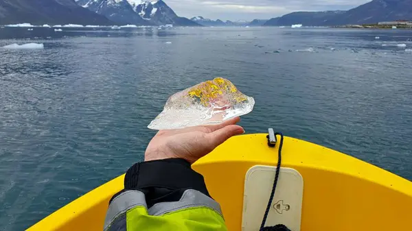 Fiyortta sarı bir botla yüzen dişi bir gezginin eli Grönland 'daki bir buzuldan kopmuş saydam bir milenyum buzunu gösteriyor. Küresel ısınma kavramı