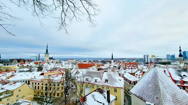 Estonya 'nın başkenti Tallinn' de bulutlu bir kış gününde, karla kaplı kırmızı kiremitli evler ve Saint-Olaf Kilisesi kulesinin hava panoramik manzarası.