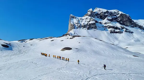 Svalbard, Norveç - 2 Haziran 2023: Norveç Svalbard takımadalarında yürüyüş yapan bir grup maceraperest