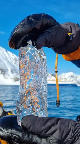 Svalbard, Norveç - 30 Mayıs 2023: Eldivenlerdeki bir el, suyun mavi rengini ve ceketin kolunun turuncu rengini kıran şeffaf bir buzulu gösteriyor