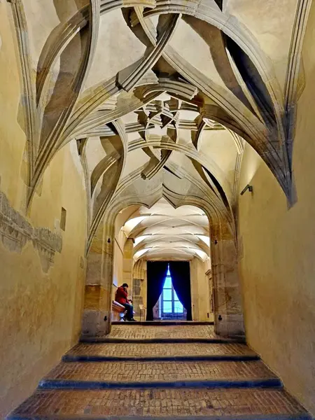 Prag, Çek Cumhuriyeti - 7 Şubat 2024: Prag Kalesi 'ndeki Binicilik Merdiveni' nin geç dönem Gotik çıkıntılı mahzeninin süslü deseni